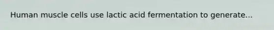 Human muscle cells use lactic acid fermentation to generate...