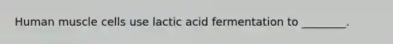 Human muscle cells use lactic acid fermentation to ________.