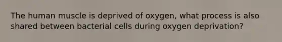 The <a href='https://www.questionai.com/knowledge/kIgPoJyJGl-human-muscle' class='anchor-knowledge'>human muscle</a> is deprived of oxygen, what process is also shared between bacterial cells during oxygen deprivation?