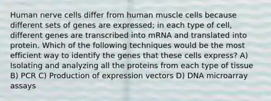 Human nerve cells differ from human muscle cells because different sets of genes are expressed; in each type of cell, different genes are transcribed into mRNA and translated into protein. Which of the following techniques would be the most efficient way to identify the genes that these cells express? A) Isolating and analyzing all the proteins from each type of tissue B) PCR C) Production of expression vectors D) DNA microarray assays