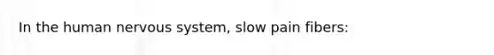 In the human nervous system, slow pain fibers: