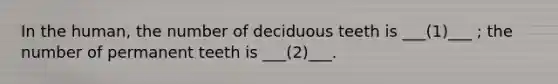 In the human, the number of deciduous teeth is ___(1)___ ; the number of permanent teeth is ___(2)___.