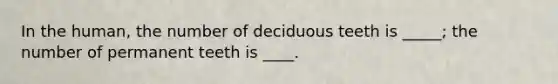 In the human, the number of deciduous teeth is _____; the number of permanent teeth is ____.