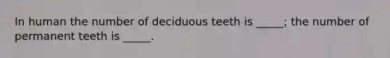 In human the number of deciduous teeth is _____; the number of permanent teeth is _____.