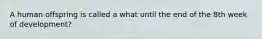 A human offspring is called a what until the end of the 8th week of development?