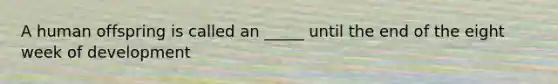 A human offspring is called an _____ until the end of the eight week of development
