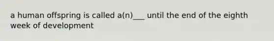 a human offspring is called a(n)___ until the end of the eighth week of development