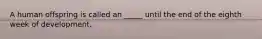 A human offspring is called an _____ until the end of the eighth week of development.