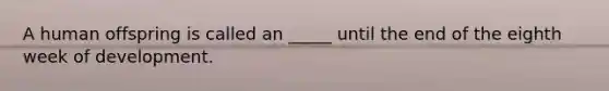 A human offspring is called an _____ until the end of the eighth week of development.