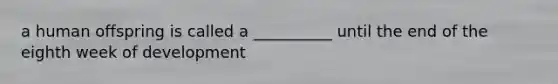 a human offspring is called a __________ until the end of the eighth week of development