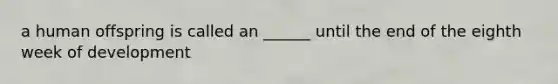 a human offspring is called an ______ until the end of the eighth week of development