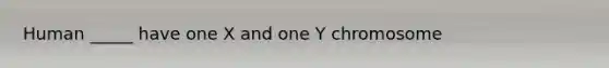 Human _____ have one X and one Y chromosome