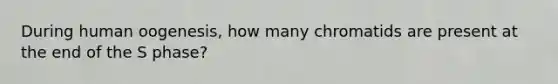 During human oogenesis, how many chromatids are present at the end of the S phase?