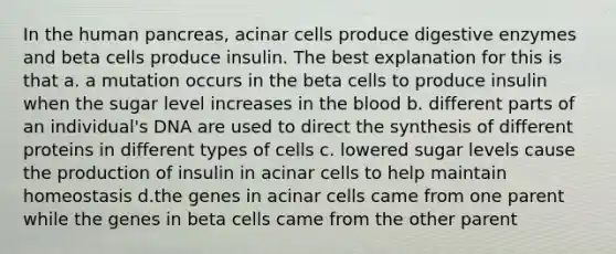 In the human pancreas, acinar cells produce digestive enzymes and beta cells produce insulin. The best explanation for this is that a. a mutation occurs in the beta cells to produce insulin when the sugar level increases in the blood b. different parts of an individual's DNA are used to direct the synthesis of different proteins in different types of cells c. lowered sugar levels cause the production of insulin in acinar cells to help maintain homeostasis d.the genes in acinar cells came from one parent while the genes in beta cells came from the other parent