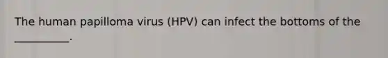 The human papilloma virus (HPV) can infect the bottoms of the __________.