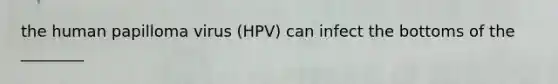 the human papilloma virus (HPV) can infect the bottoms of the ________