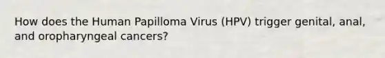 How does the Human Papilloma Virus (HPV) trigger genital, anal, and oropharyngeal cancers?