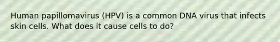 Human papillomavirus (HPV) is a common DNA virus that infects skin cells. What does it cause cells to do?