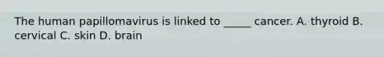 The human papillomavirus is linked to _____ cancer. A. thyroid B. cervical C. skin D. brain