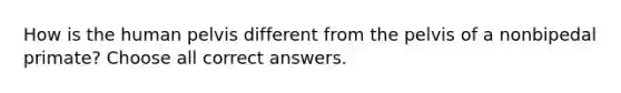 How is the human pelvis different from the pelvis of a nonbipedal primate? Choose all correct answers.