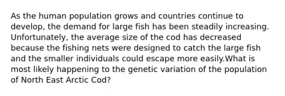 As the human population grows and countries continue to develop, the demand for large fish has been steadily increasing. Unfortunately, the average size of the cod has decreased because the fishing nets were designed to catch the large fish and the smaller individuals could escape more easily.What is most likely happening to the genetic variation of the population of North East Arctic Cod?