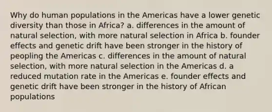 Why do human populations in the Americas have a lower genetic diversity than those in Africa? a. differences in the amount of natural selection, with more natural selection in Africa b. founder effects and genetic drift have been stronger in the history of peopling the Americas c. differences in the amount of natural selection, with more natural selection in the Americas d. a reduced mutation rate in the Americas e. founder effects and genetic drift have been stronger in the history of African populations