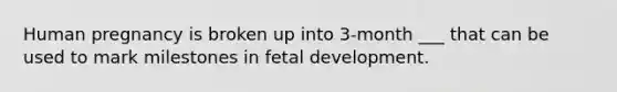 Human pregnancy is broken up into 3-month ___ that can be used to mark milestones in fetal development.