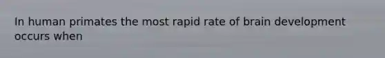 In human primates the most rapid rate of brain development occurs when