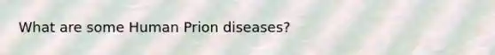 What are some Human Prion diseases?