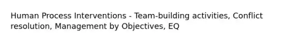 Human Process Interventions - Team-building activities, Conflict resolution, Management by Objectives, EQ