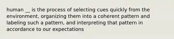 human __ is the process of selecting cues quickly from the environment, organizing them into a coherent pattern and labeling such a pattern, and interpreting that pattern in accordance to our expectations