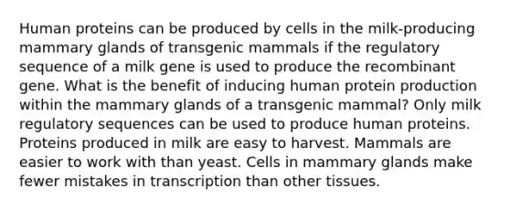 Human proteins can be produced by cells in the milk-producing mammary glands of transgenic mammals if the regulatory sequence of a milk gene is used to produce the recombinant gene. What is the benefit of inducing human protein production within the mammary glands of a transgenic mammal? Only milk regulatory sequences can be used to produce human proteins. Proteins produced in milk are easy to harvest. Mammals are easier to work with than yeast. Cells in mammary glands make fewer mistakes in transcription than other tissues.