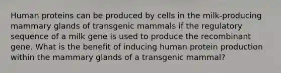 Human proteins can be produced by cells in the milk-producing mammary glands of transgenic mammals if the regulatory sequence of a milk gene is used to produce the recombinant gene. What is the benefit of inducing human protein production within the mammary glands of a transgenic mammal?