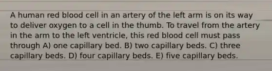 A human red blood cell in an artery of the left arm is on its way to deliver oxygen to a cell in the thumb. To travel from the artery in the arm to the left ventricle, this red blood cell must pass through A) one capillary bed. B) two capillary beds. C) three capillary beds. D) four capillary beds. E) five capillary beds.