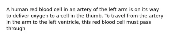 A human red blood cell in an artery of the left arm is on its way to deliver oxygen to a cell in the thumb. To travel from the artery in the arm to the left ventricle, this red blood cell must pass through