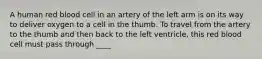 A human red blood cell in an artery of the left arm is on its way to deliver oxygen to a cell in the thumb. To travel from the artery to the thumb and then back to the left ventricle, this red blood cell must pass through ____