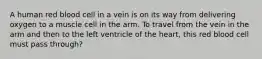 A human red blood cell in a vein is on its way from delivering oxygen to a muscle cell in the arm. To travel from the vein in the arm and then to the left ventricle of the heart, this red blood cell must pass through?