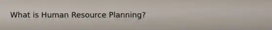 What is Human Resource Planning?