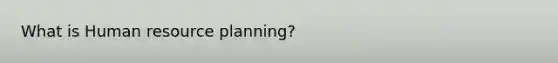 What is Human resource planning?