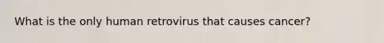 What is the only human retrovirus that causes cancer?