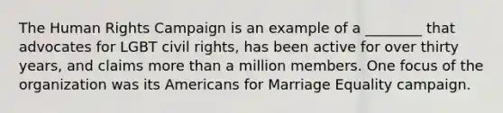 The Human Rights Campaign is an example of a ________ that advocates for LGBT civil rights, has been active for over thirty years, and claims more than a million members. One focus of the organization was its Americans for Marriage Equality campaign.