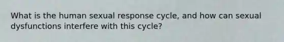 What is the human sexual response cycle, and how can sexual dysfunctions interfere with this cycle?