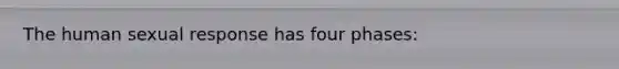 The human sexual response has four phases: