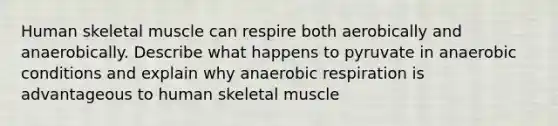 Human skeletal muscle can respire both aerobically and anaerobically. Describe what happens to pyruvate in anaerobic conditions and explain why anaerobic respiration is advantageous to human skeletal muscle