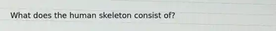 What does the human skeleton consist of?