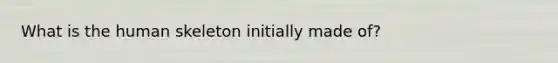 What is the human skeleton initially made of?