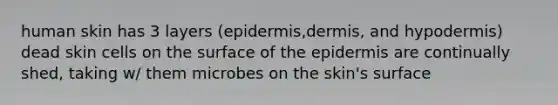 human skin has 3 layers (epidermis,dermis, and hypodermis) dead skin cells on the surface of the epidermis are continually shed, taking w/ them microbes on the skin's surface