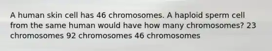 A human skin cell has 46 chromosomes. A haploid sperm cell from the same human would have how many chromosomes? 23 chromosomes 92 chromosomes 46 chromosomes