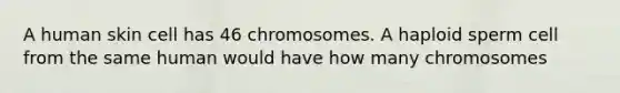 A human skin cell has 46 chromosomes. A haploid sperm cell from the same human would have how many chromosomes