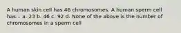 A human skin cell has 46 chromosomes. A human sperm cell has... a. 23 b. 46 c. 92 d. None of the above is the number of chromosomes in a sperm cell